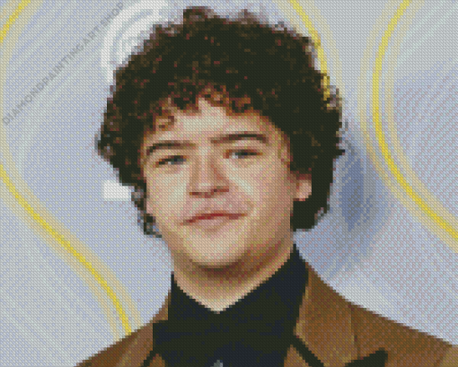 Gaten Matarazzo Diamond Painting