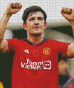 Harry Maguire Diamond Painting