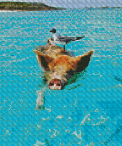 Pig In The Beach Diamond Painting