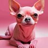 Pink Chihuahua Diamond Painting
