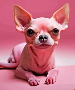 Pink Chihuahua Diamond Painting