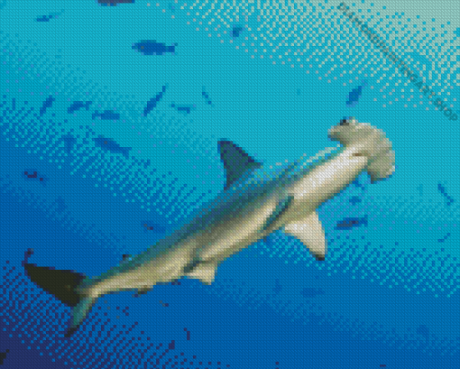 Hammerhead Shark Diamond Painting