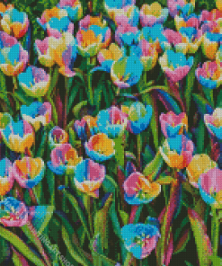 Tulips Field Diamond Painting