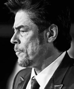 Benicio Del Toro Diamond Painting