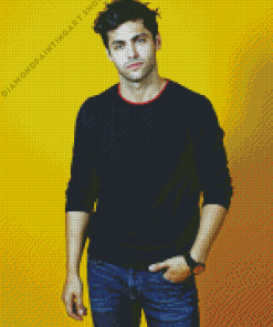 Matthew Daddario Actor Diamond Painting