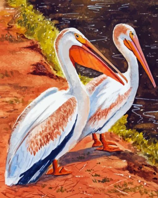 Pelican Birds Art Diamond Painting