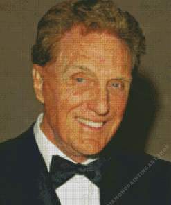 Robert Stack Actor Diamond Painting