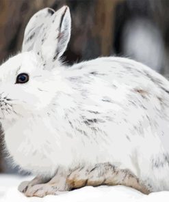 Snowshoe Hare Animal Diamond By Numbers