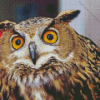 Eagle Owl Diamond Painting