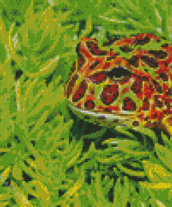 Frog Diamond Painting