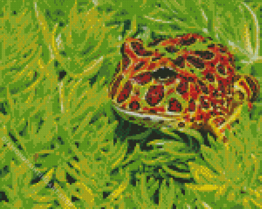 Frog Diamond Painting