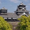 Kumamoto Diamond Painting