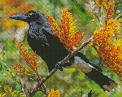 Pied Currawong Diamond Painting