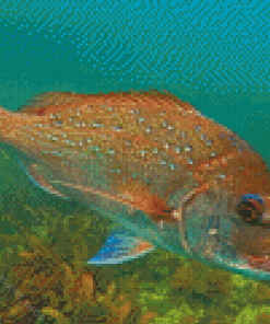 Snapper Fish Diamond Painting