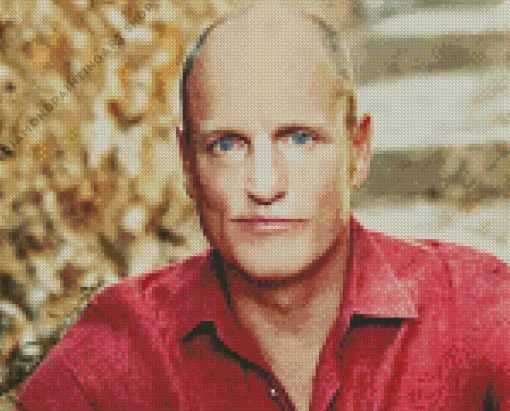 Woody Harrelson Diamond Painting