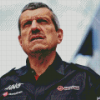 Guenther Steiner Diamond Painting