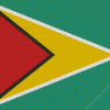 Guyana Flag Diamond Painting