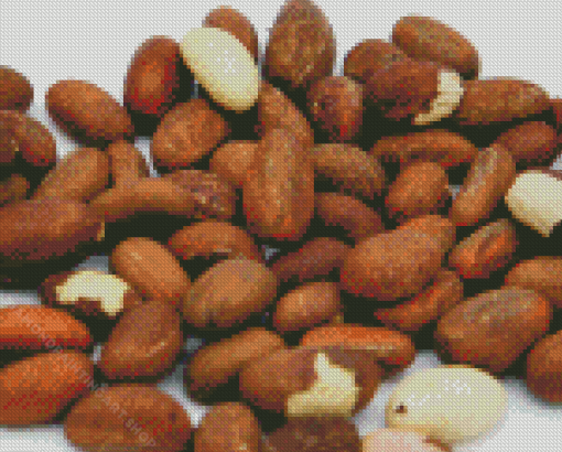 Kola Nut Diamond Painting