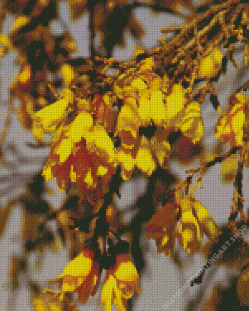 Kowhai Diamond Painting