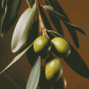 Olive Branch Diamond Painting