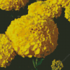 Tagetes Erecta Diamond Painting