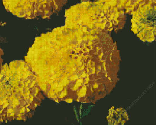 Tagetes Erecta Diamond Painting