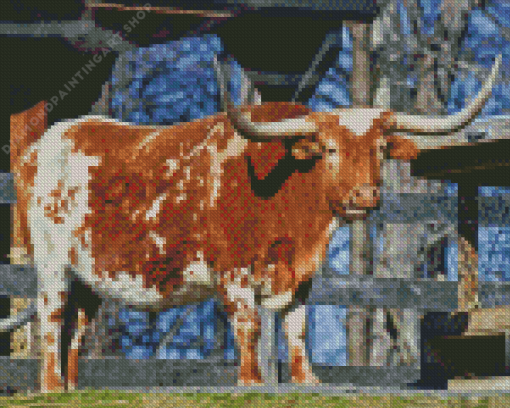 Long horn bull Diamond Paints