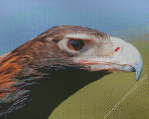 Wedge tailed eagle side face Diamond Dotz