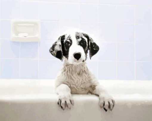 Dog in bath Diamond By Numbers