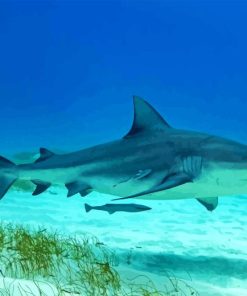 bull shark Diamond By Numbers