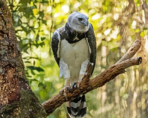 harpy eagle Diamond With Numbers