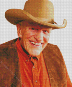 old James Arness Diamond Dotz