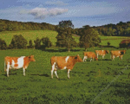 Ayrshire cows Diamond Dotz