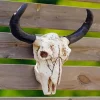 Cow skull head Diamond Dotz