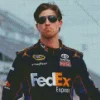 Denny hamlin Diamond Dotz