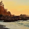 Ucluelet Diamond Dotz