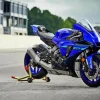 Yamaha r1 Diamond Dotz