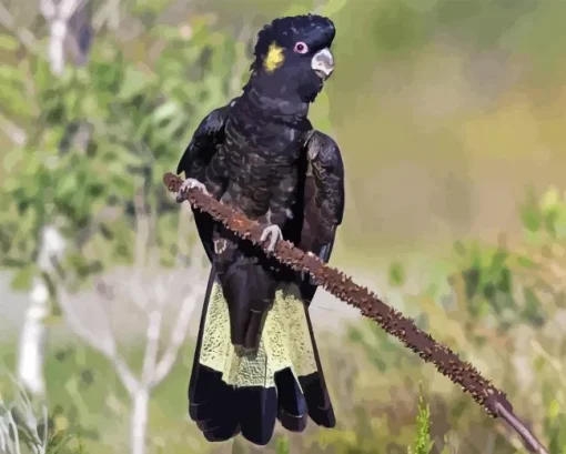 Yellow tailed black cockatoo Diamond Dotz