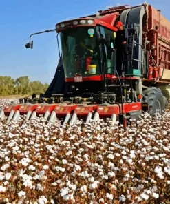 cotton harvester Diamond Dotz