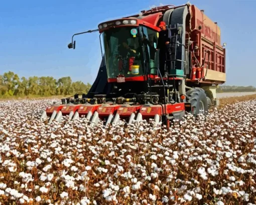 cotton harvester Diamond Dotz