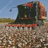 cotton harvester Diamond Dotz