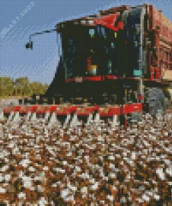 cotton harvester Diamond Dotz