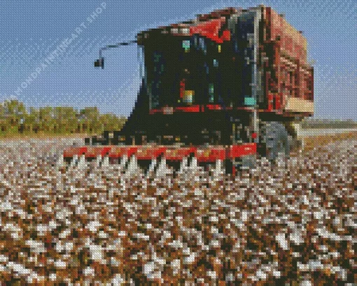 cotton harvester Diamond Dotz