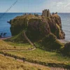 dunnottar castle paint by numbers