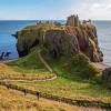 dunnottar castle paint by numbers