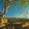 kununurra Diamond Dotz