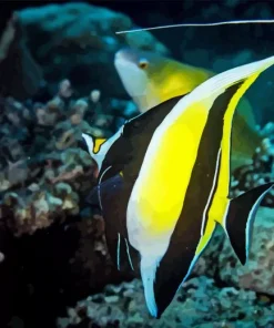 moorish idol Diamond Dotz