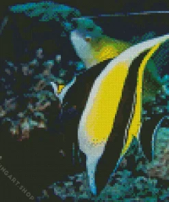 moorish idol Diamond Dotz