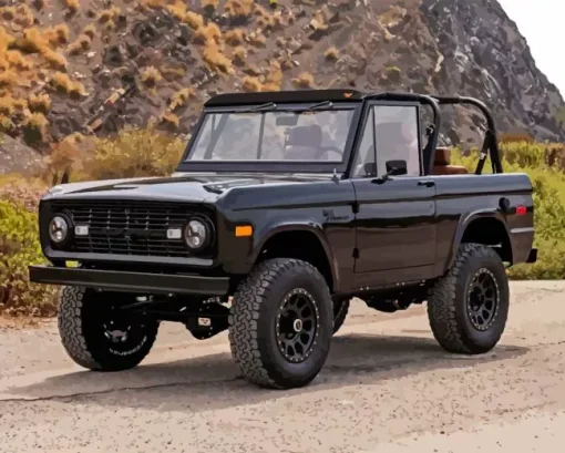 old ford bronco Diamond Paints