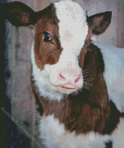 baby brown and white cow Diamond Dotz